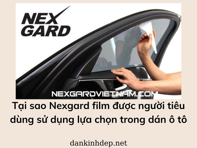 Tại sao Nexgard film được người tiêu dùng sử dụng lựa chọn trong dán ô tô